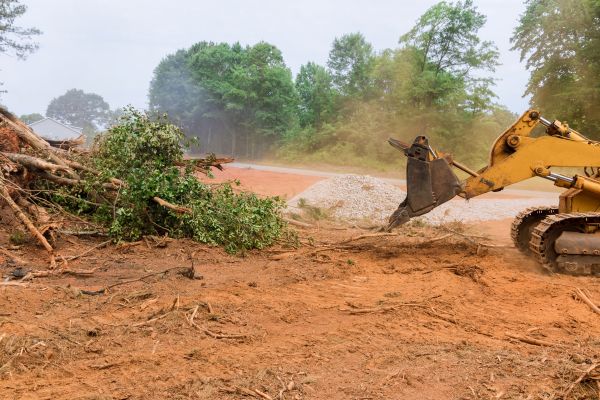 Cost of Ground Clearing in Canonsburg
