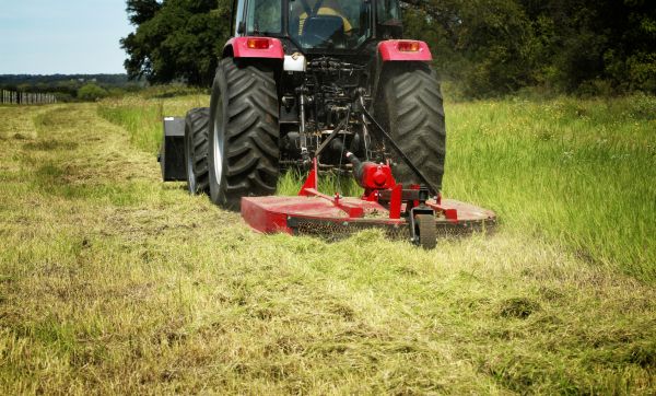 Cost of Brush Clearing Service in Canonsburg