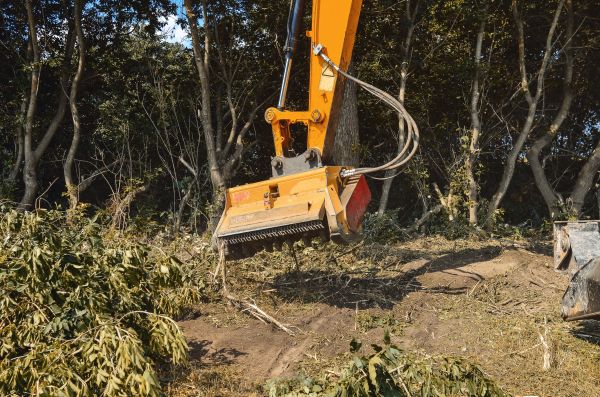 Cost of Brush Removal Service in Canonsburg