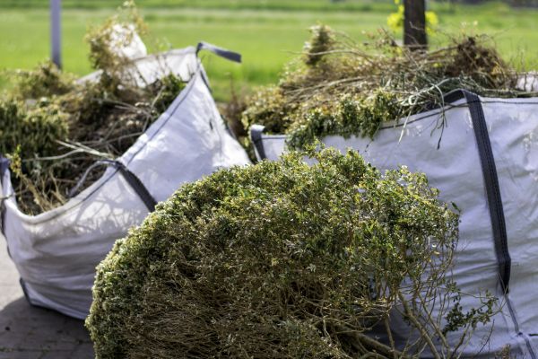 Cost of Bushes Clearing in Canonsburg